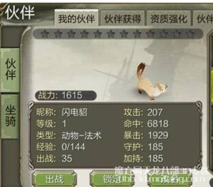 闪电貂怎么样 闪电貂怎么加点