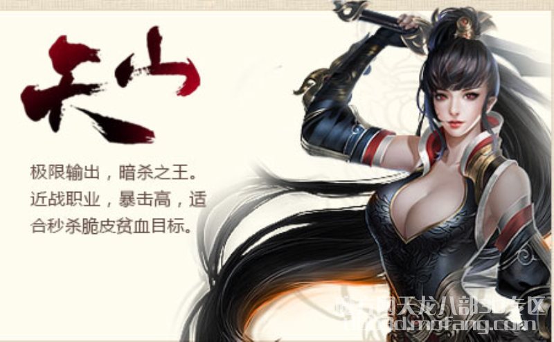 天龙八部3D天山侠客搭配介绍
